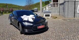 Весільне авто Tesla model S - лого