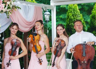 ZefirStringQuartet - лого