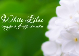 Студия флористики White Lilac Студия флористики White Lilac - лого