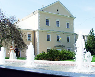 Тернопольский замок - лого