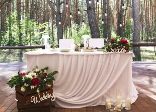 Аренда гостиницы для свадьбы Сосновель - лого