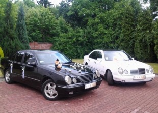 Вип такси Львов - лого