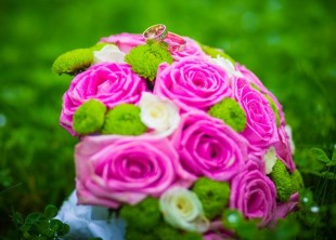 Максим Яненко - лого