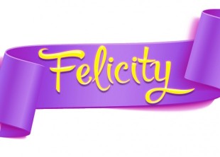 Территория творчества "Felicity" Территория творчества "Felicity" - лого