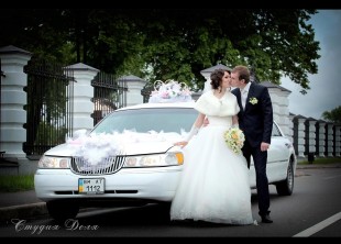 Студия Доля - лого