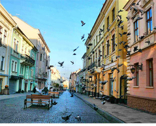 Улица Ольги Кобылянской - лого