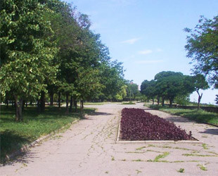 Красивое место  для свадебной фотосессии Комсомольский бульвар Красивое место  для свадебной фотосессии Комсомольский бульвар - лого
