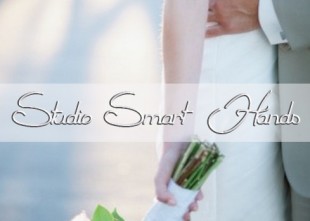 Studio Smart hands - лого