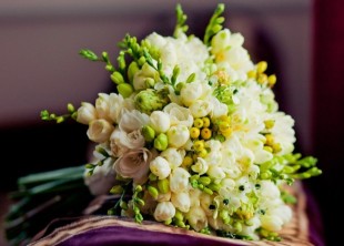 студія свята Олі Яреми - лого