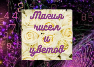 Магия чисел и цветов - лого