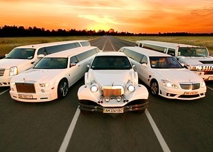 Прокат свадебных лимузинов в Житомире Прокат свадебных лимузинов в Житомире - лого