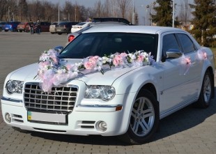 Vilk TranS - лого