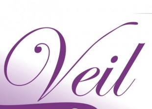 Veil Veil - лого