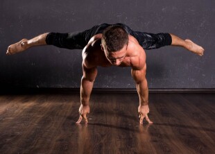 Артист Циркового жанра - лого