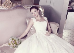 Амелин - лого