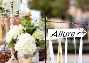 АЛЛЮР - лого