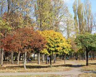 Парк Юность - лого