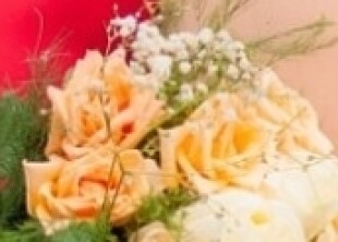 частный мастер - лого