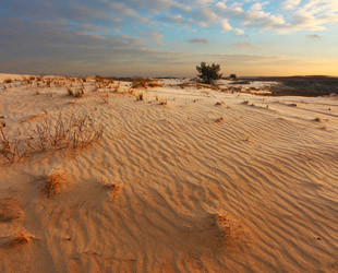Кицевская пустыня. - лого