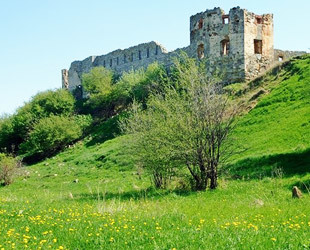 Пневский замок - лого