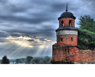 Дубенский замок - лого