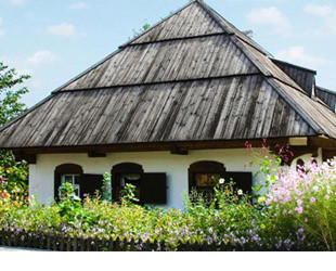 Музей-усадьба И. П. Котляревского - лого