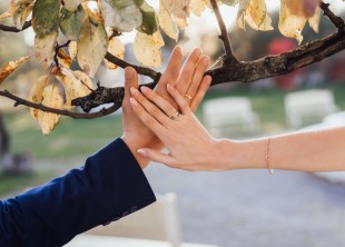 Wedisson event by J.Serebryanskaya - лого