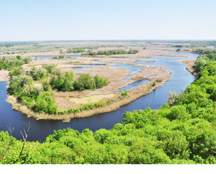 Ландшафтный заказник 'Лучковский - лого