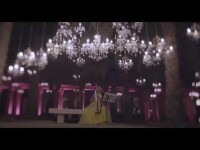 Beautiful Harp. Видео 5208