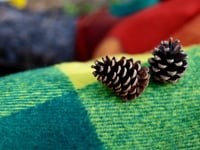 Свадебное видео. Видео 94