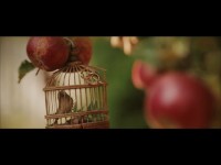 Свадебная видеосьемка | Видеосьемка на свадьбу в Полтаве. Видео 2075