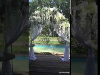 Свадьба. Видео 5224