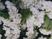 Искренность  и Любовь. Видео 3156