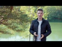 портфолио. Видео 3575 портфолио. Видео 3575