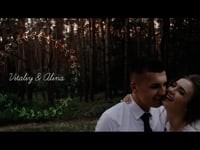 Портфоліо. Видео 3042