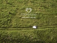 Wedding. Видео 5700