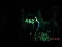 Золотое шоу Эндорфин. Видео 3476