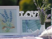 Видео. Видео 2178