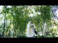 Свадебное видео. Видео 1285