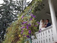 weddiing. Видео 2493 weddiing. Видео 2493