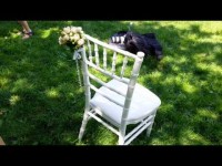 Наша флористика . Видео 297