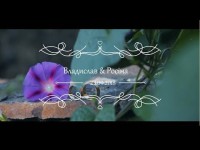 ВЕСІЛЛЯ. Видео 4155