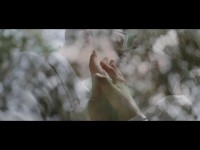 WEDDINGS. Видео 4065 WEDDINGS. Видео 4065