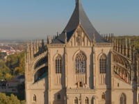 Wedding Day. Видео 4186