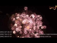 Пиротехнические шоу. Видео 870