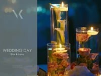 Видеоработы. Видео 1790