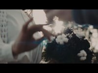 Портфолио. Видео 2808