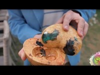 Свадьба в стиле Рустик. Видео 3984