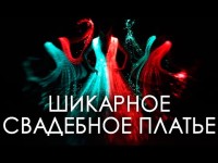 Портфолио. Видео 1798 Портфолио. Видео 1798
