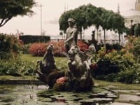 Weddding . Видео 1042